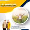 Los beneficios de la Purificación